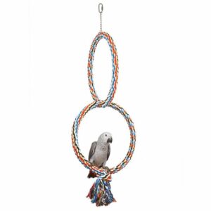 Coloured Double Ring