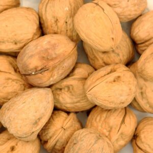 Whole English Walnuts (In Shells) Parrot Treat - 500g