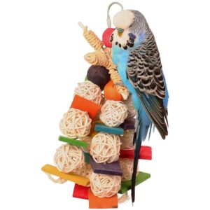 Willow Wizard Parrot Toy