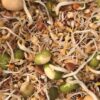 soak seed mix