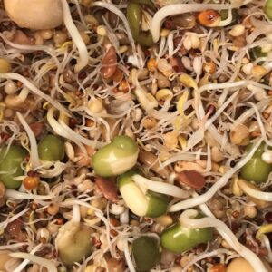 soak seed mix