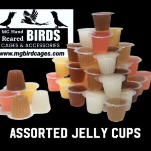 Assorted Jelly Cups