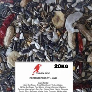 Dylan Bird Parrot with added VAM