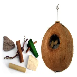 Java Coco Full Moon Large