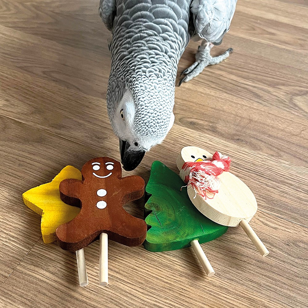 Large Festive Lollipop Parrot Foot Toys - Pack of 4