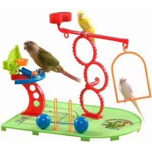 Birdie Basketball Gym - Activity Centre for Smaller Parrots