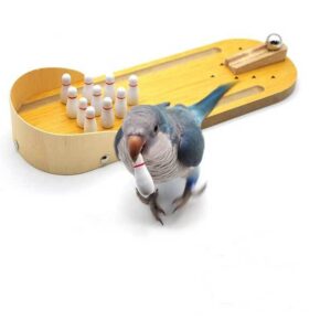 Birdie Bowling Alley